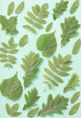 Kağıt arkaplanda yeşil yapraklar