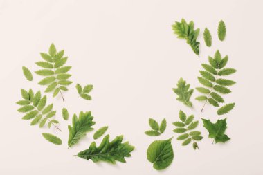 Kağıt arkaplanda yeşil yapraklar