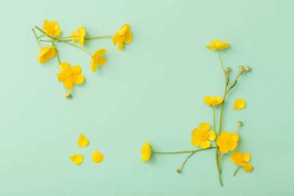 Gelbe Ranunkeln Auf Grünem Papier Hintergrund — Stockfoto