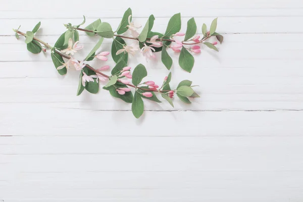 Grenar Bush Med Rosa Blommor Trä Bakgrund — Stockfoto