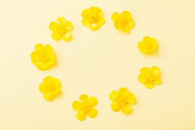 Sarı Kağıt arka plan üzerinde sarı Düğünçiçekleri