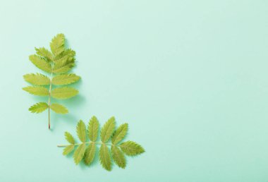 Kağıt arkaplanda yeşil yapraklar