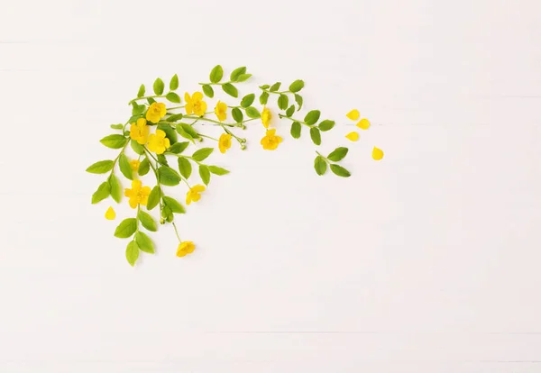 Patrón Floral Con Botones Amarillos Sobre Fondo Blanco —  Fotos de Stock