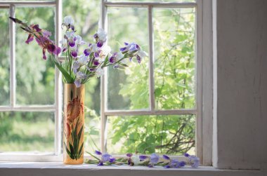 iris in vase on windowsill clipart