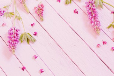 Lupine pembe ahşap zemin üzerine