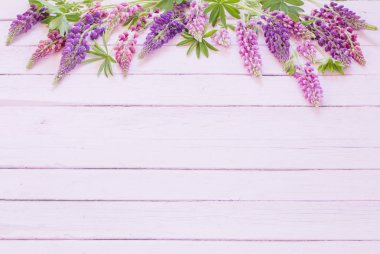 Lupine pembe ahşap zemin üzerine