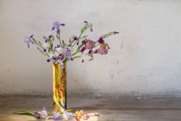 Iris Vase Background Old White Wall — Stock Photo, Image