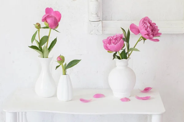 Peonías Rosadas Jarrones Sobre Fondo Blanco —  Fotos de Stock