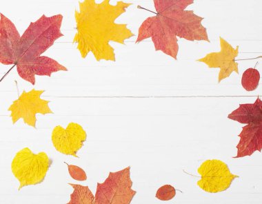 Beyaz ahşap zemin üzerinde sonbahar yaprakları