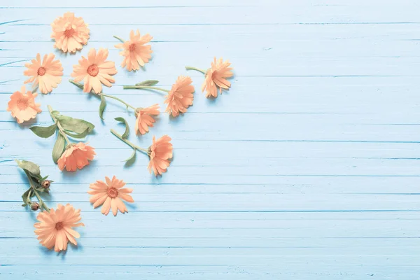 Flores Caléndula Sobre Fondo Azul Madera —  Fotos de Stock