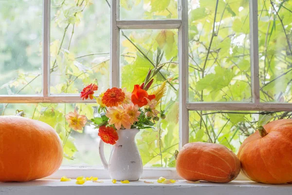Autumn Still Life Windowsill — Stock Photo, Image