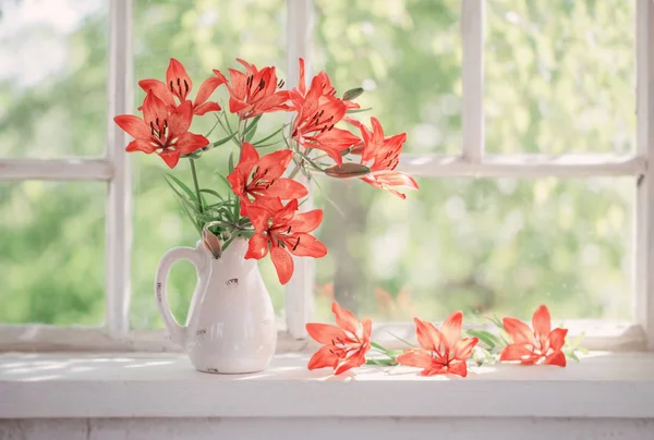 Orangenlilie Auf Fensterbank — Stockfoto