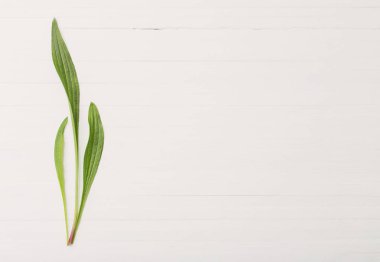 çiçek desenli beyaz ahşap zemin üzerinde