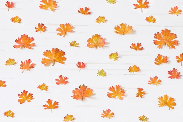 Herbstblätter Auf Holzgrund — Stockfoto