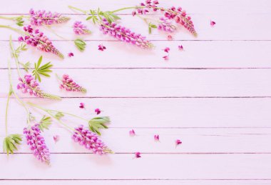 Lupine pembe ahşap zemin üzerine