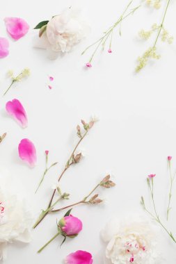 Beyaz Kağıt arka plan üzerinde yaz çiçek