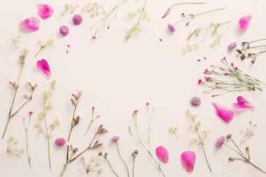 Beyaz Kağıt arka plan üzerinde yaz çiçek