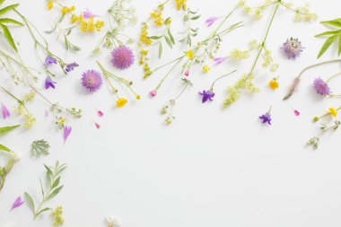 Beyaz Kağıt arka plan üzerinde yaz çiçek