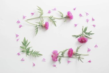 beyaz zemin üzerine Peygamber