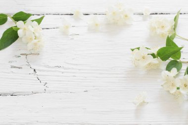 yasemin beyaz ahşap zemin üzerinde