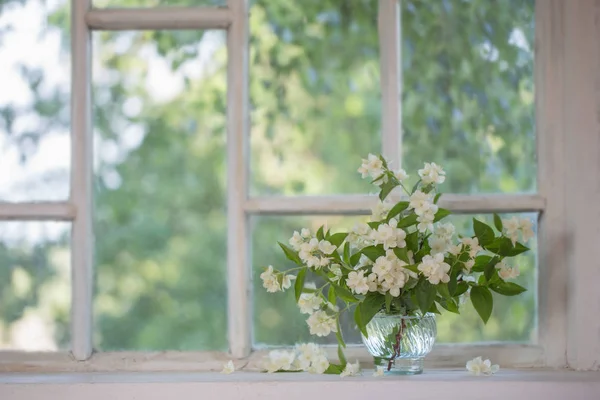 Jasmine Vase Windowsill — Stock Photo, Image