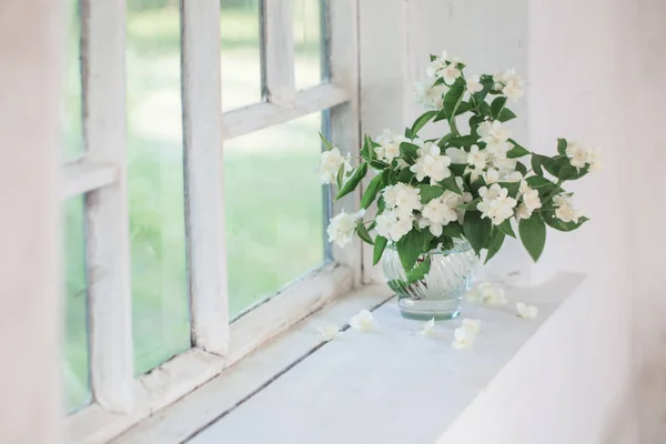 Jasmine Vase Windowsill — Stock Photo, Image