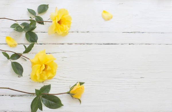 Rosas Amarelas Sobre Fundo Madeira Branco — Fotografia de Stock