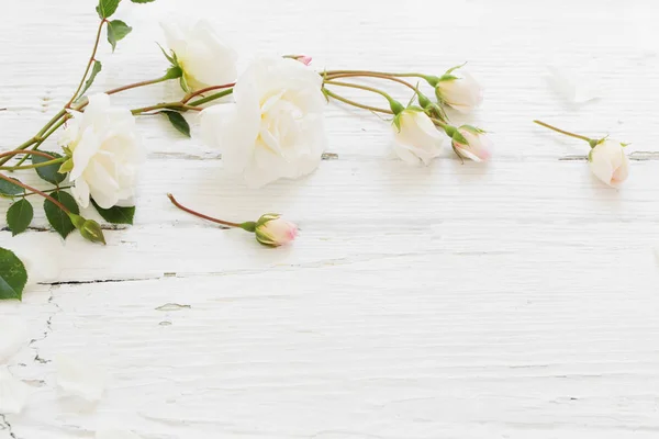 Rosas Fundo Madeira Branco — Fotografia de Stock