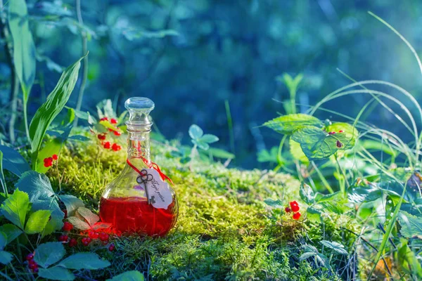 Zaubertrank Der Flasche Wald — Stockfoto