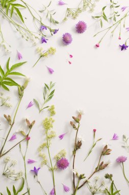 Beyaz Kağıt arka plan üzerinde yaz çiçek