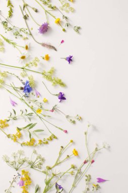 Beyaz Kağıt arka plan üzerinde yaz çiçek