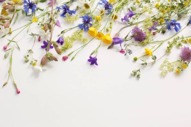 Beyaz Kağıt arka plan üzerinde yaz çiçek