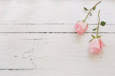 Beyaz ahşap arka planda pembe güller