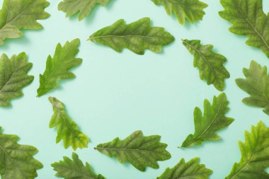 Kağıt arkaplanda yeşil yapraklar