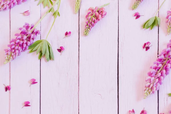Lupine Růžové Dřevěné Pozadí — Stock fotografie