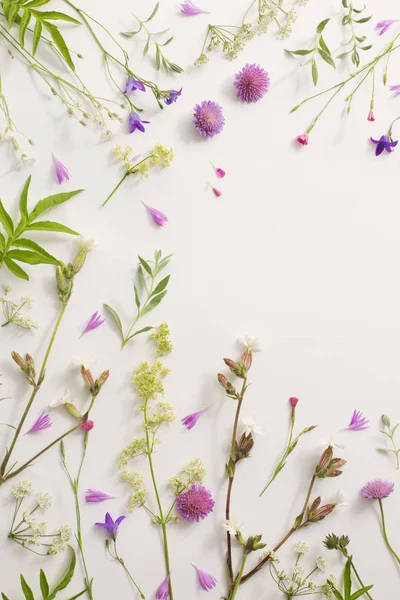 Beyaz Kağıt arka plan üzerinde yaz çiçek