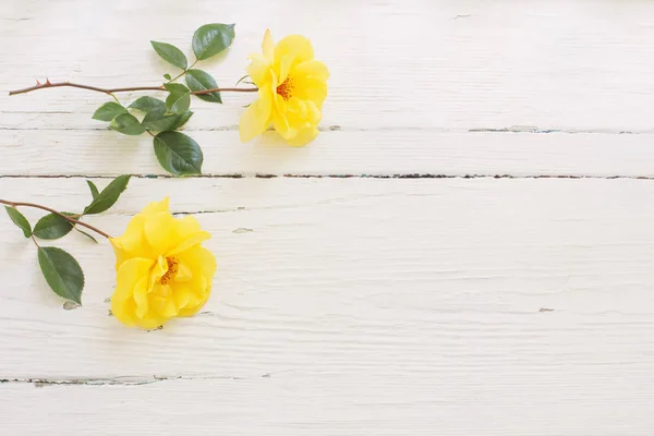 Gele Rozen Witte Houten Achtergrond — Stockfoto