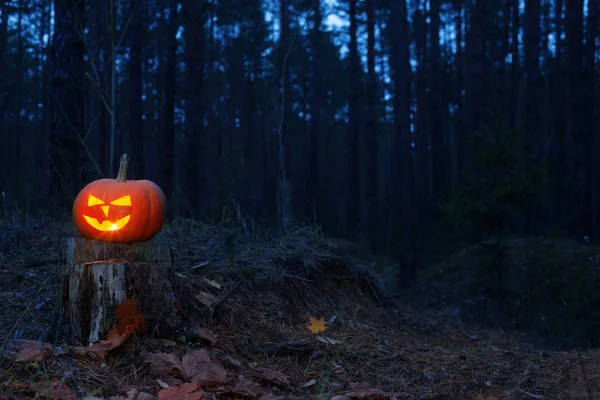 夜の森のハロウィンかぼちゃ — ストック写真