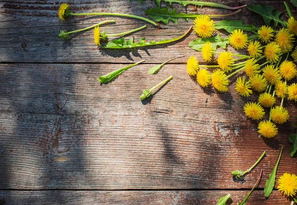 Dandelions Old Wooden Background — Stock Photo, Image