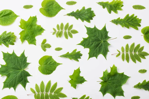 Kağıt arkaplanda yeşil yapraklar