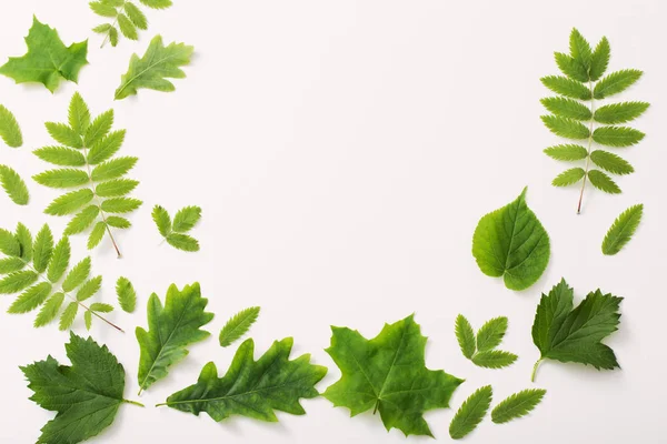 Kağıt arkaplanda yeşil yapraklar