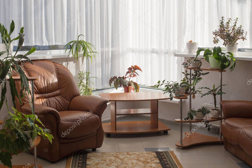 home interior with houseplants