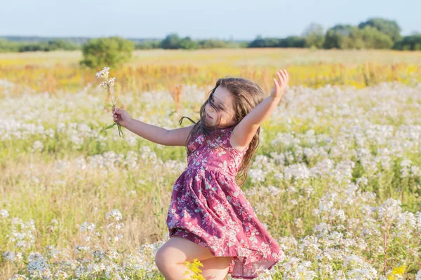 Happy Girl Summer Field — Stock Photo, Image