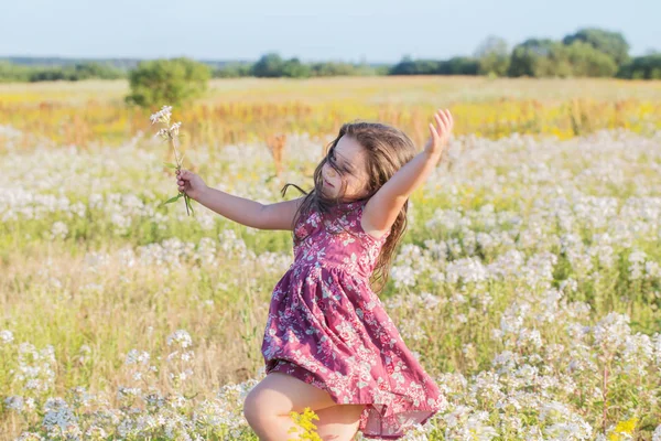 Menina Feliz Campo Verão — Fotografia de Stock