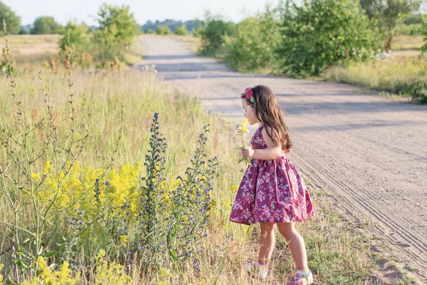 Šťastná Dívka Cestě — Stock fotografie