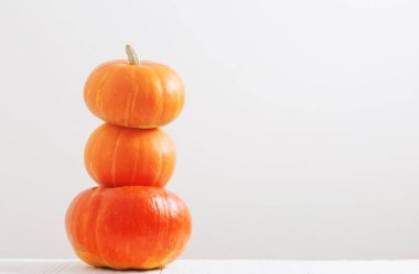 beyaz arkaplanda kabak