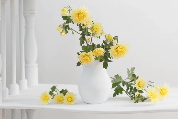 Stillleben Mit Chrysanthemen Auf Weißem Hintergrund — Stockfoto