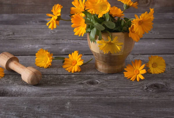 Koyu eski ahşap arka planda takvim çiçekleri