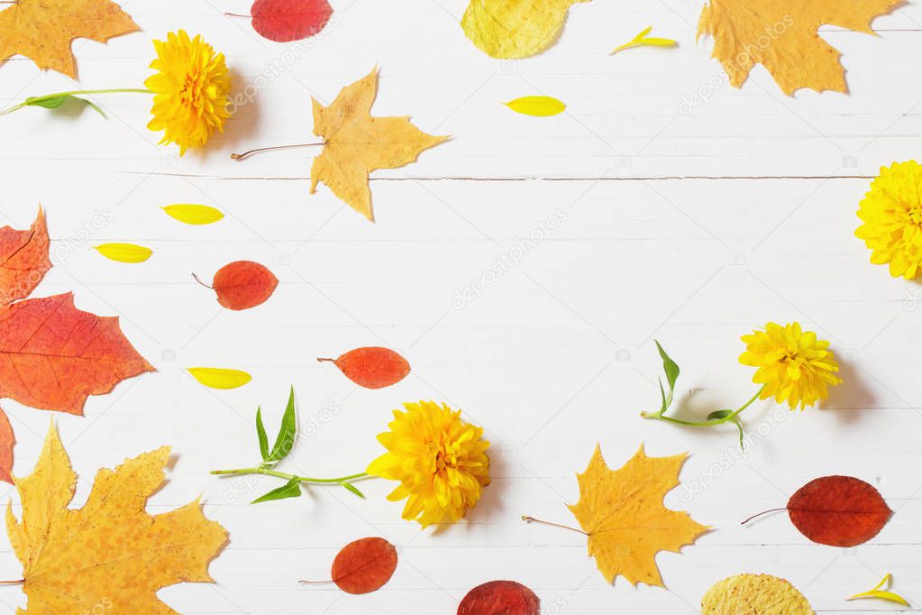 autumn leaves on white wooden background