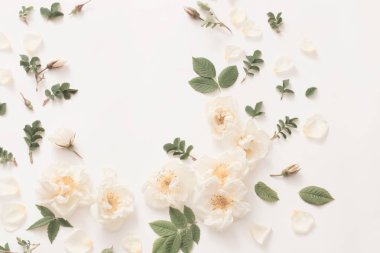 Beyaz arkaplanda güller